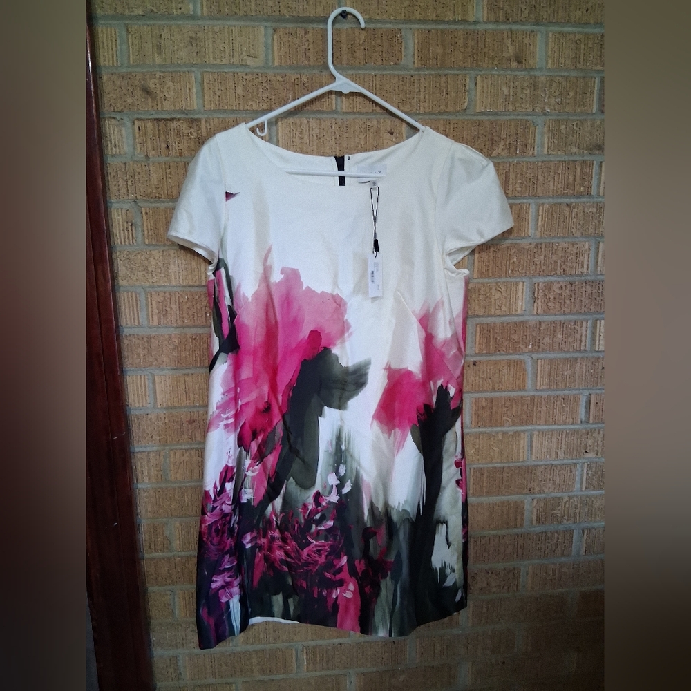 Millie NWT Size 12 Floral Print Women's Babydoll Mini Dress